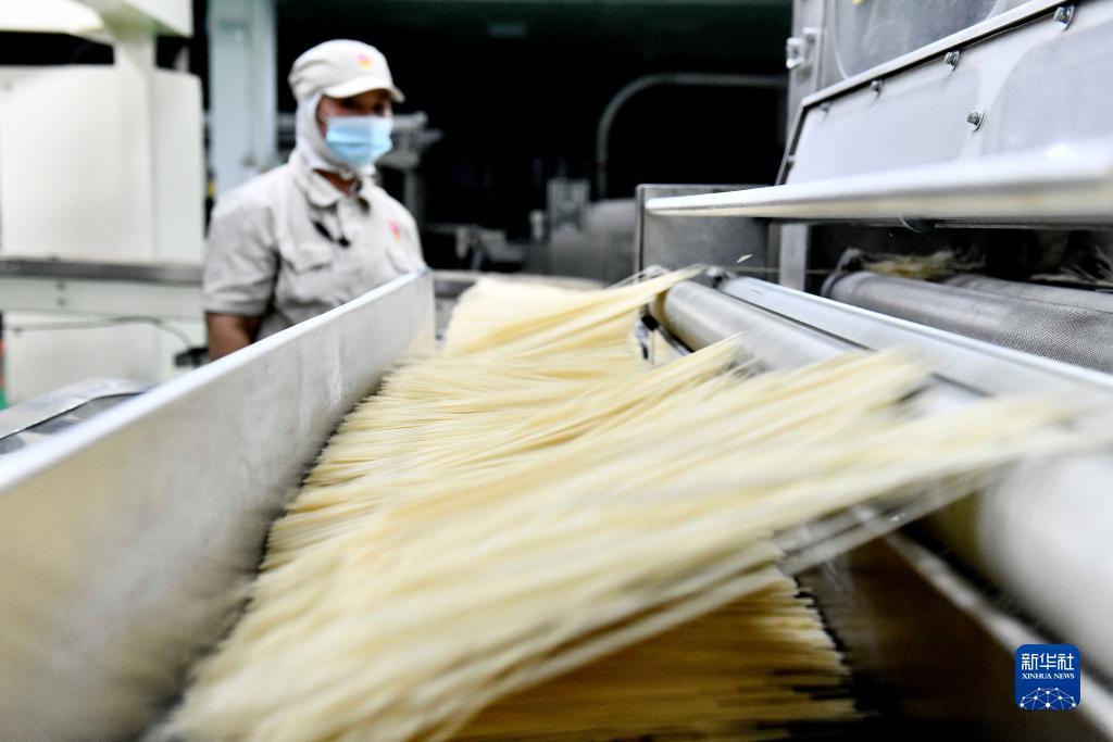 金沙国际唯一官网